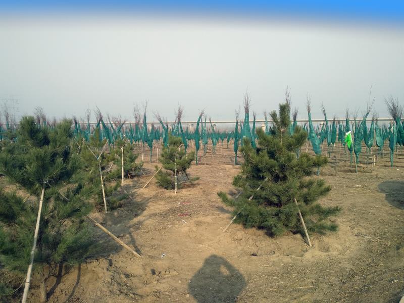 20200424191546685.jpg 20200424191546685.jpg