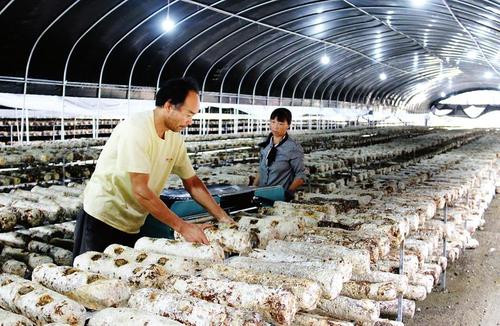 產(chǎn)業(yè)扶貧怎樣與鄉(xiāng)村振興銜接？農(nóng)業(yè)農(nóng)村部：不能畢其功于一役