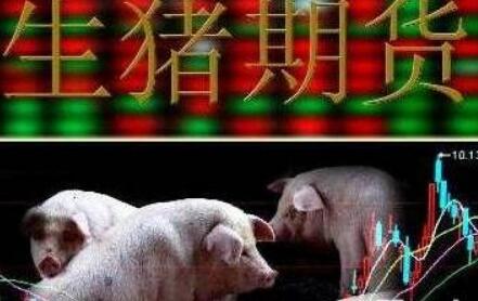 豬價、雞價接續(xù)上漲 養(yǎng)殖業(yè)上升周期到來？