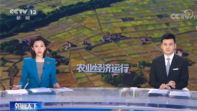 農業(yè)農村部：鄉(xiāng)村休閑旅游業(yè)逐步復蘇