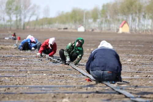 20200506105549147.jpg 2.webp.jpg