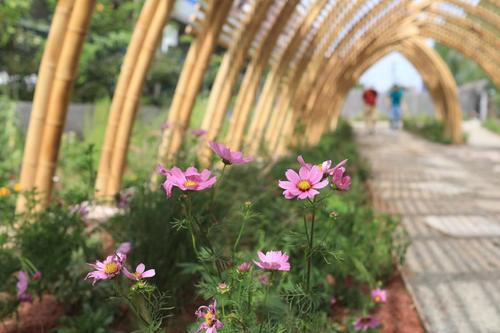 京張鐵路遺址公園設(shè)計(jì)方案出爐