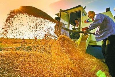 河南省大力打造全國重要的糧食生產核心區(qū)，到2025年全省將建成八千萬畝高標準農田