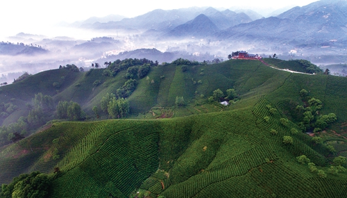 河南省加快鄉(xiāng)村旅游建設 到2025年，實現(xiàn)全省鄉(xiāng)村旅游年接待游客4億人次