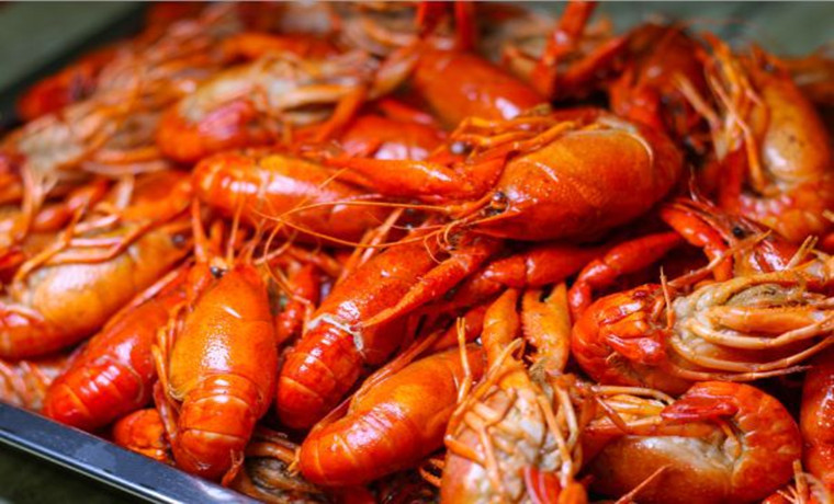 蝦苗價格跌到地板 今夏可以吃到“白菜價”小龍蝦？