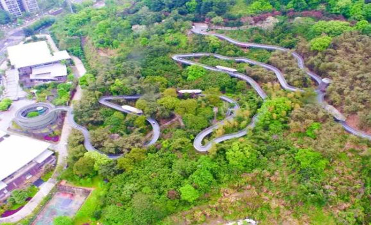 福建首批森林步道來啦！有路過你的家鄉(xiāng)嗎？