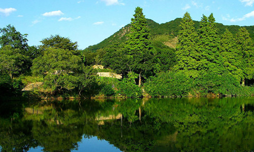 林業(yè)上“云” 生態(tài)保護有“數(shù)”——數(shù)字技術(shù)守護綠水青山一線見聞