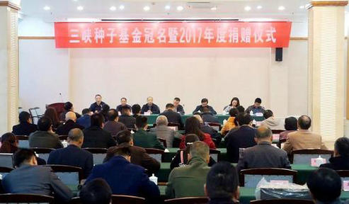 “種子”精準“造血” 跑出決戰(zhàn)決勝“加速度”