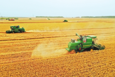 841.5公斤！修武再創(chuàng)全國夏糧單產(chǎn)新高