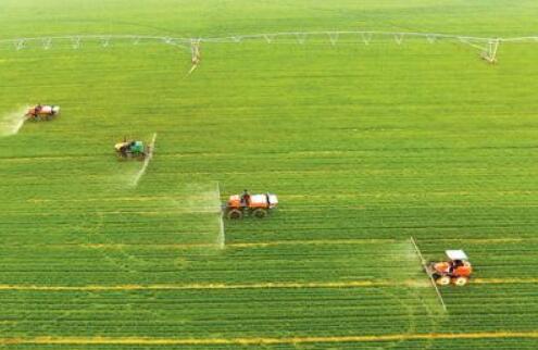 全國春播開局良好 播種面積超5500萬畝