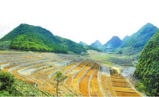 變“輸血”為“造血” ！云南文山著力鞏固脫貧成效