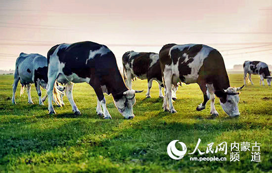 20200624111508386.jpg LOCAL202006230809000328244762009.jpg