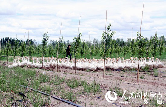 20200624111601386.jpg LOCAL202006230810000086091169517.jpg