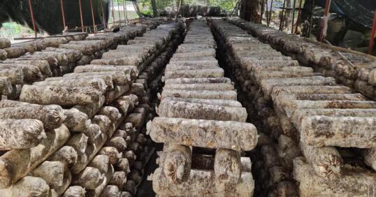 20200628163022844.jpg 2.jpg