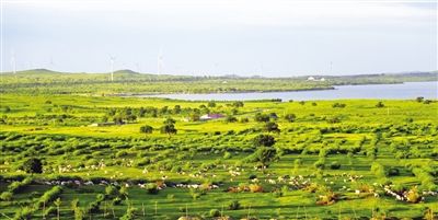 全面推進(jìn)鄉(xiāng)村振興，山西準(zhǔn)備這么干