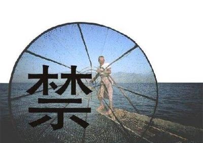 守護(hù)母親河重現(xiàn)生機(jī)——多部門(mén)回應(yīng)長(zhǎng)江禁捕熱點(diǎn)問(wèn)題