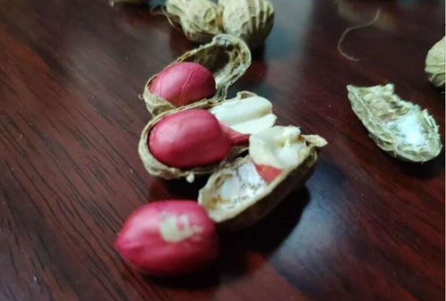 20200718155844989.jpg 2.jpg