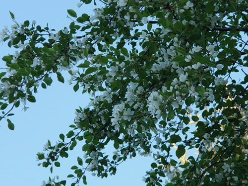 20200718160723990.jpg 3.jpg