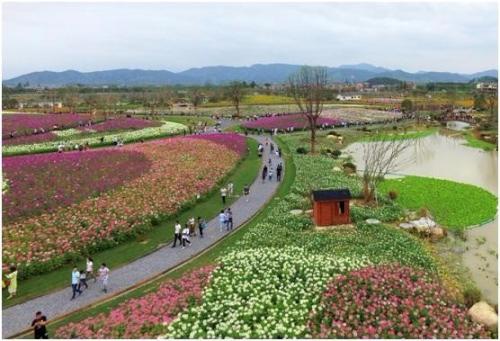 加快建設宜居宜業(yè)和美鄉(xiāng)村，四川進展幾何？