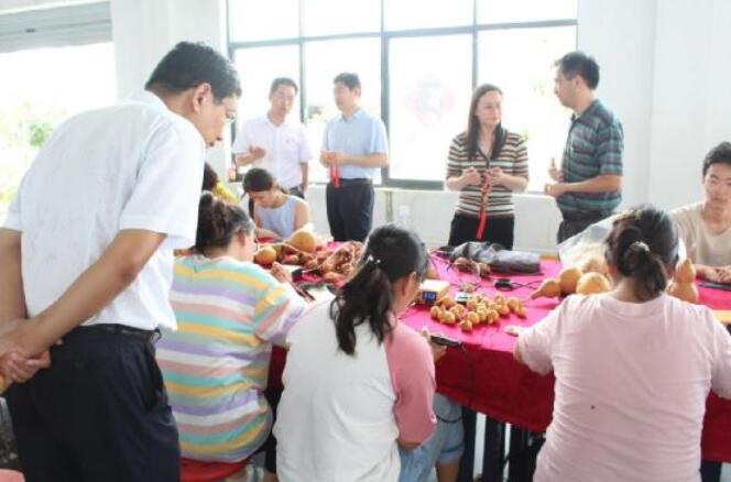 河南方城廣陽鎮(zhèn)：全域黨建強支部  產(chǎn)業(yè)帶動促脫貧