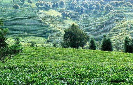 農(nóng)業(yè)農(nóng)村部、國(guó)家鄉(xiāng)村振興局部署推進(jìn)脫貧地區(qū)產(chǎn)業(yè)發(fā)展工作