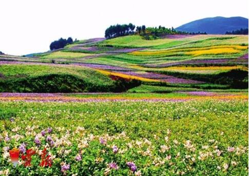 國家高原特色作物種質(zhì)資源中期庫建設(shè)項(xiàng)目獲批立項(xiàng)