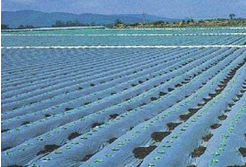 膜產(chǎn)業(yè)：中國(guó)特色創(chuàng)新體系初步形成