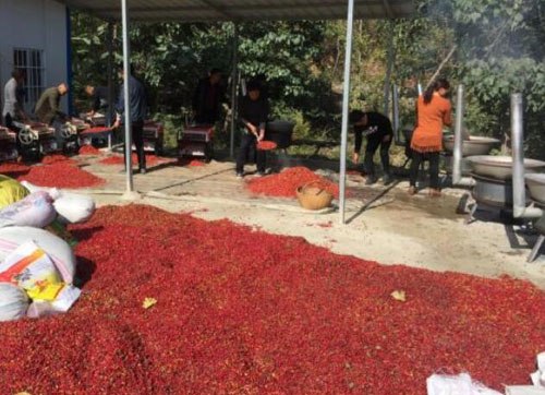 河南南召喬端鎮(zhèn)：產(chǎn)業(yè)扶貧筑根基，鄉(xiāng)村振興乘風(fēng)起