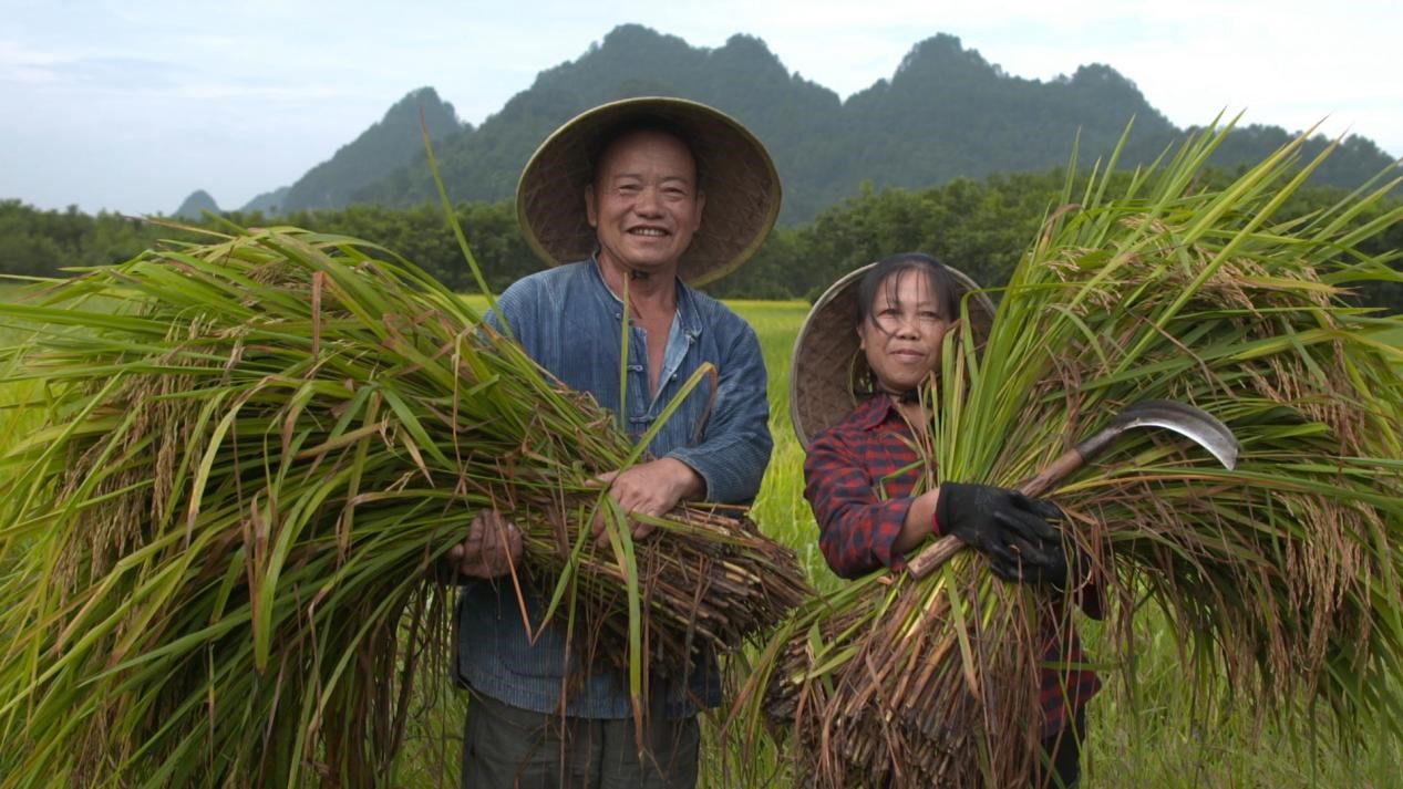 20200930154447261.jpg 20200930154447261.jpg