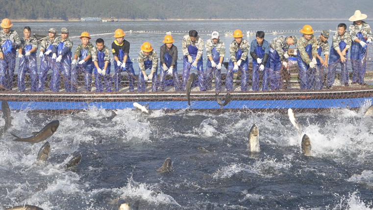 20200930154600261.png 20200930154600261.png