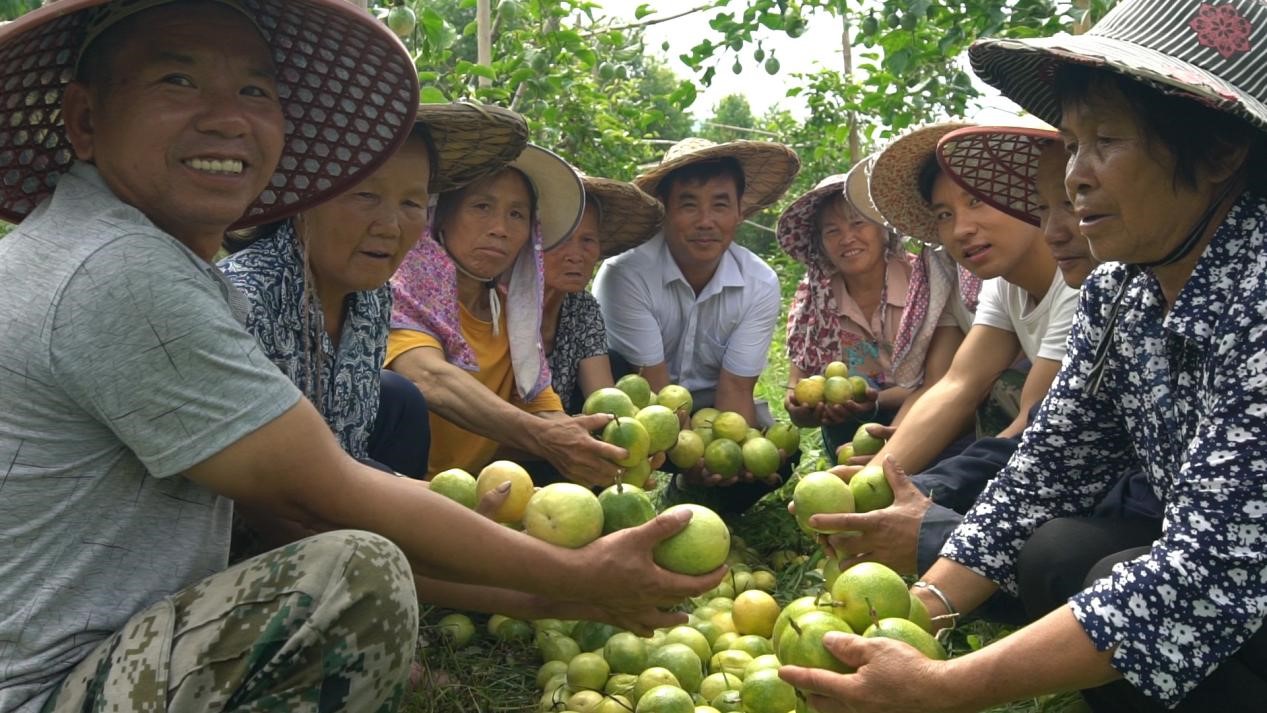 20200930154717261.jpg 20200930154717261.jpg