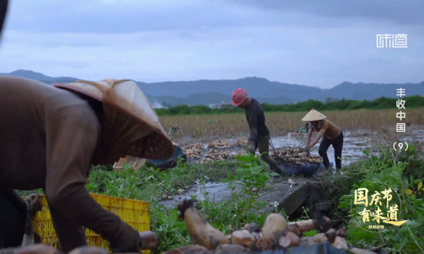 20200930155257261.png 20200930155257261.png