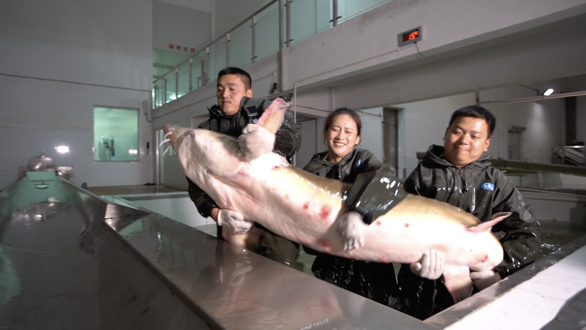 20200930155332261.png 20200930155332261.png