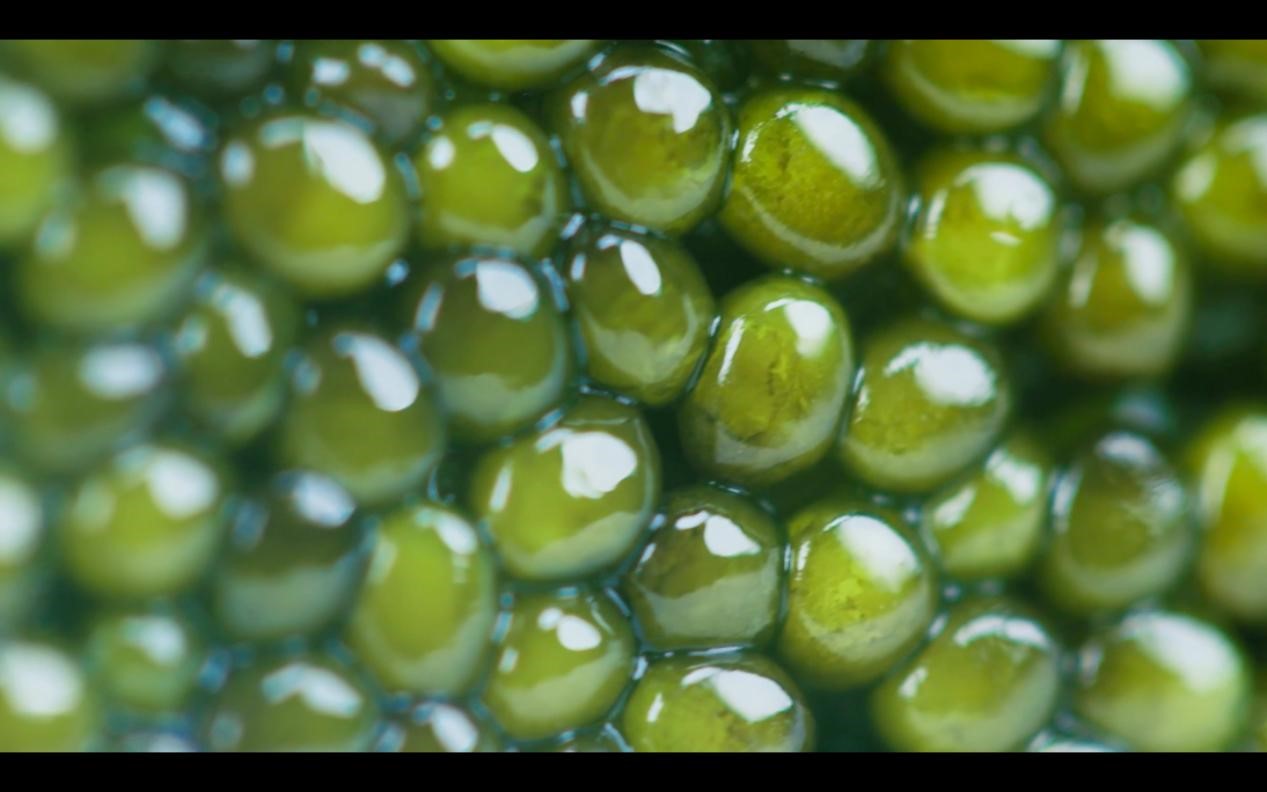 20200930155430261.jpg 20200930155430261.jpg