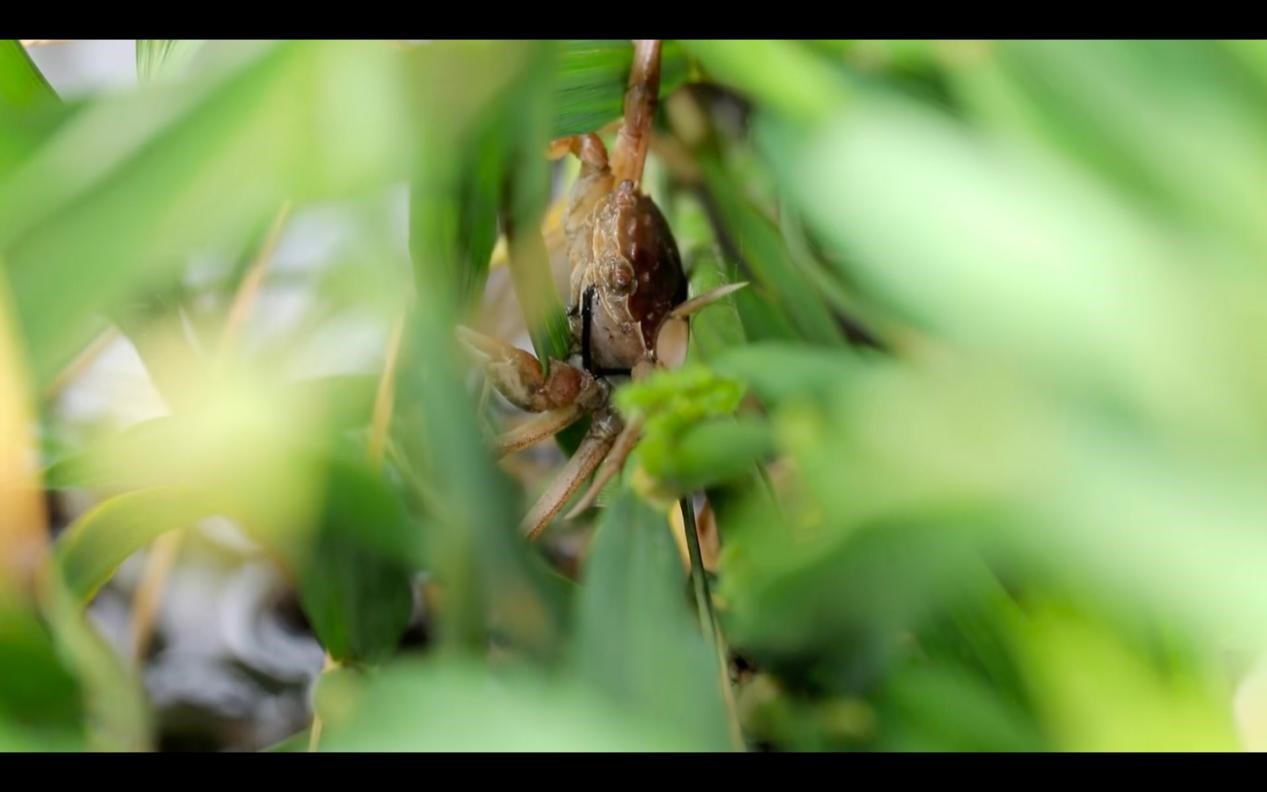 20200930155802261.jpg 20200930155802261.jpg