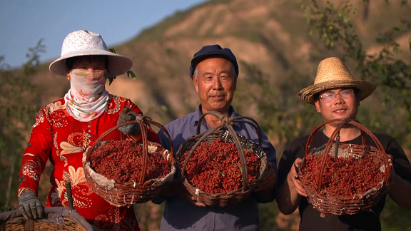 20200930161015786.png 20200930161015786.png