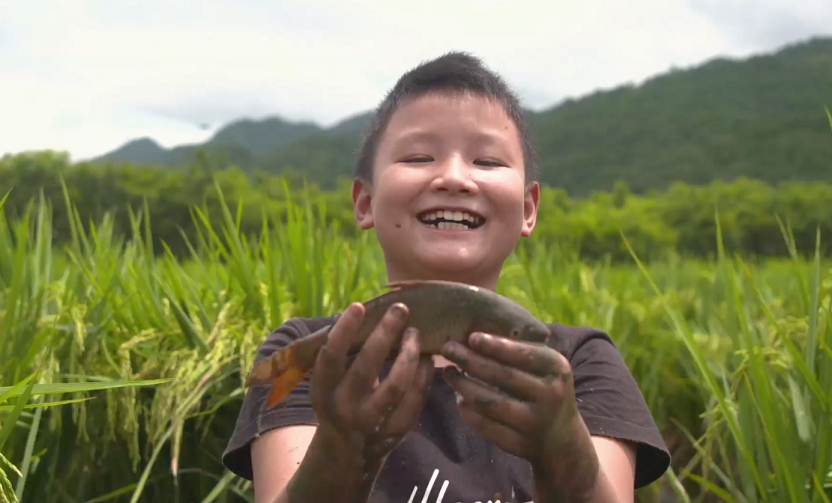 20200930162646430.png 20200930162646430.png