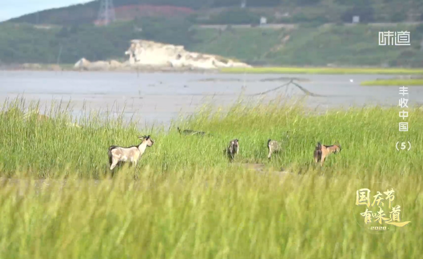 20200930162810514.png 20200930162810514.png