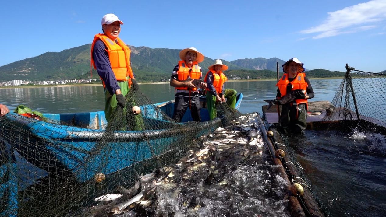 20200930162915428.jpg 20200930162915428.jpg