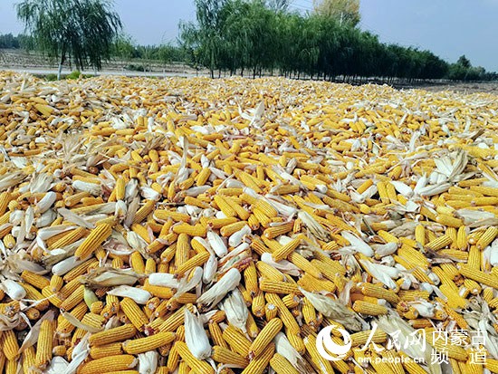 20201012093231444.jpg LOCAL202010101154000227030628602.jpg