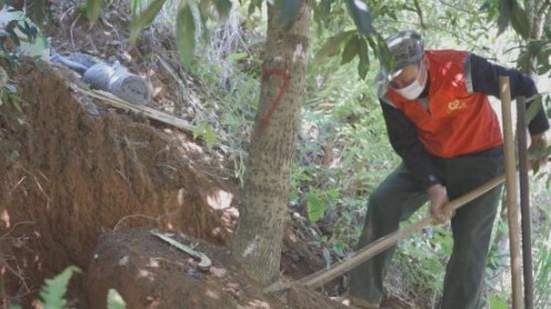 20201013173124232.jpg 3.jpg