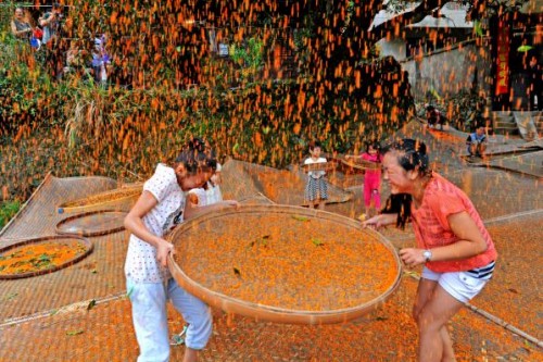 20201013173206232.jpg 5.jpg