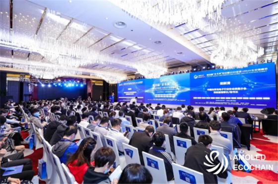 自主創(chuàng)新助力顯示產(chǎn)業(yè)生態(tài)重構(gòu)！第四屆金水湖論壇暨AMOLED生態(tài)鏈峰會圓滿落幕！