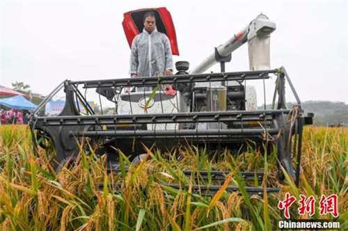 20201102162429990.jpg 2.jpg