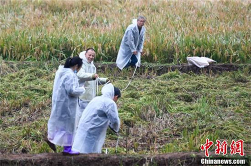 20201102162439990.jpg 4.jpg