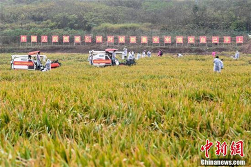 20201102162500990.jpg 8.jpg