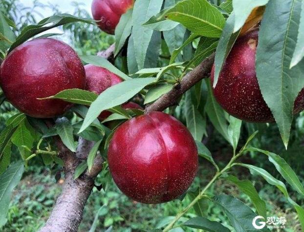 20201103185645809.jpg 20201103185645809.jpg