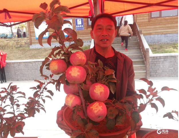 舊店果農(nóng)玩轉(zhuǎn)“藝術(shù)蘋果” 蘋果上貼“吉祥字” 身價翻兩番