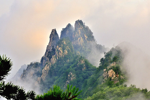 20201106132407773.jpg 4.jpg