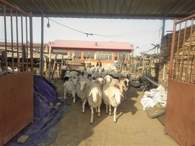 20201118095055929.jpg 13462327377341485918.jpg